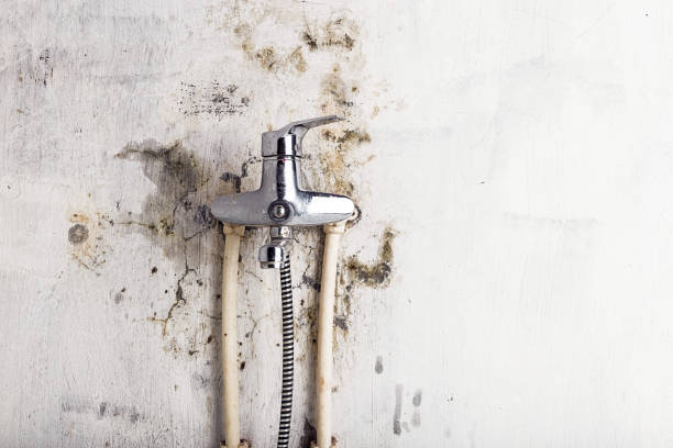 Best Commercial Mold Removal  in Silver Lakes, CA