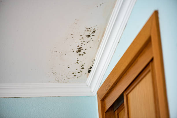 Water Damage Restoration in Silver Lakes, CA
