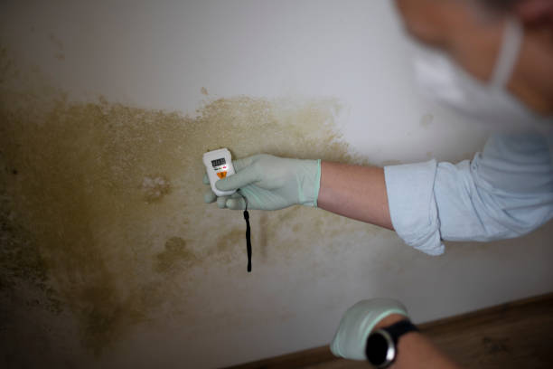 Best Water Damage Restoration  in Silver Lakes, CA