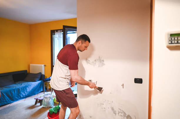 Best Mold Removal Near Me  in Silver Lakes, CA
