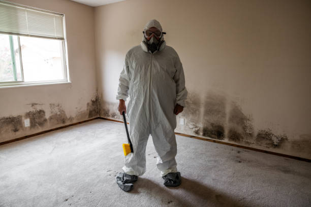 Best Mold Testing  in Silver Lakes, CA